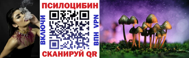 Псилоцибиновые грибы Psilocybine cubensis  даркнет сайт  Набережные Челны 